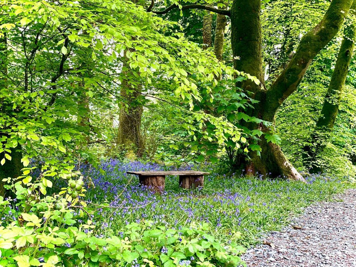 Snowdonia Holidays Caravan Hire - Aberdunant Park - 34 The Green Prenteg Ngoại thất bức ảnh