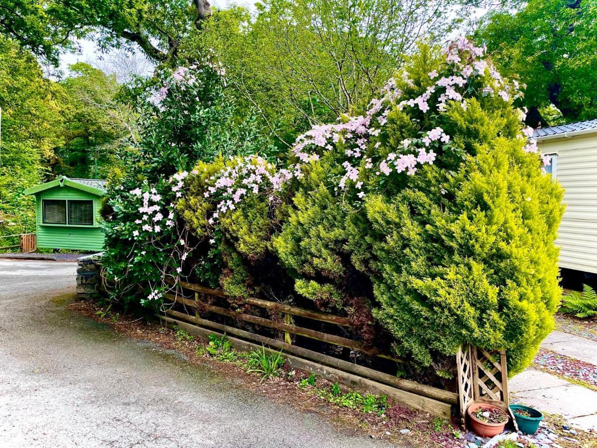Snowdonia Holidays Caravan Hire - Aberdunant Park - 34 The Green Prenteg Ngoại thất bức ảnh